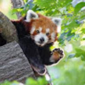 Meet your Posher, Aj and d